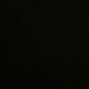 Meet your Posher, Emilee